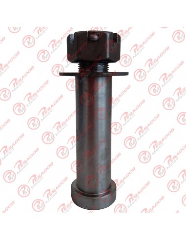 Perno Lanza 38 X 110 C/t