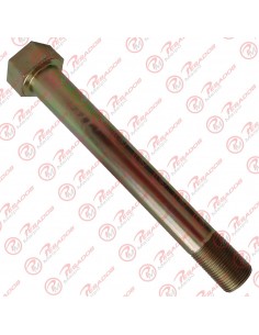 Perno Suspension Carwork 32...