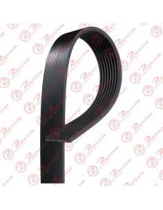Correa Poli V 8pk1450 Dayco