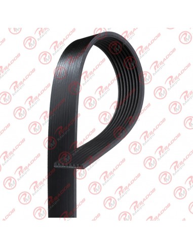 Correa Poli V 8pk1450 Dayco