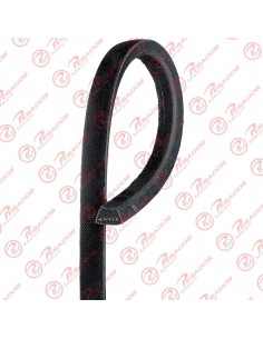 Correa 13a1015 Skf