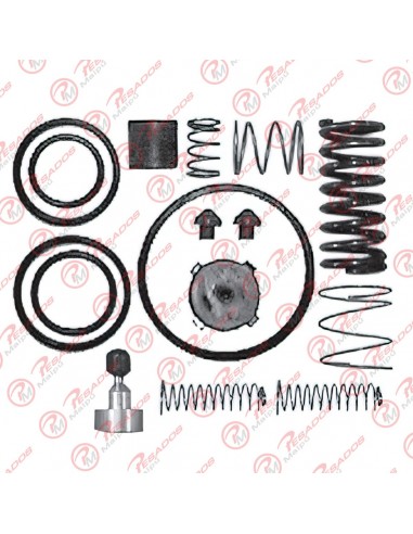 Reparacion Valvula Control Sr-2 (r 7910)