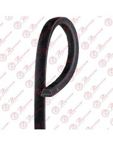 Correa Industrial B112