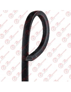 Correa 13a1335 Dayco