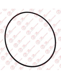 Anillo Camisa Cilindro (75110)