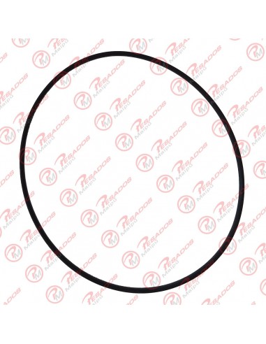 Anillo Camisa Cilindro (75110)