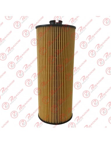 Filtro Aceite Cartucho (ch9389) Mb...