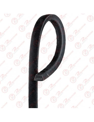 Correa Industrial A61