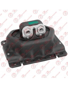 Soporte Motor Trasero/caja...