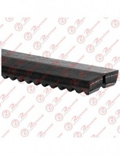 Correa Doble 13 A 1300 (4737)