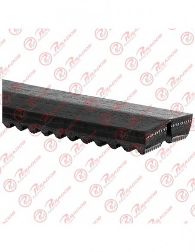 Correa Doble 13 A 1300 (4737)