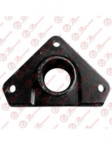 Soporte Elastico Atego M/viejo...
