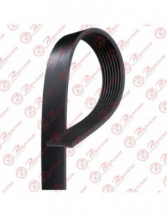 Correa Poli V 8pk2110...