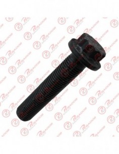 Bulon Biela Motor 12x56 Om...