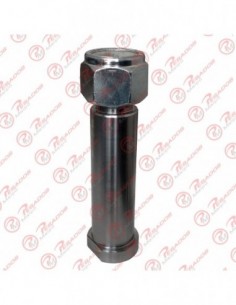 Perno Lanza 38 X 120 C/t