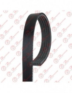 Correa Poli V 5pk 1050 Dayco
