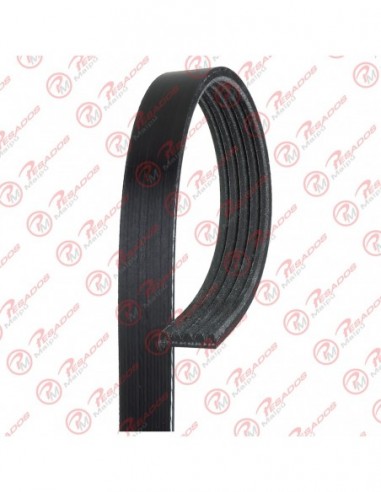 Correa Poli V 5pk 1050 Dayco