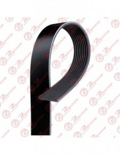 Correa Poli V 9pk2300...