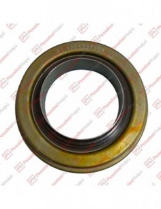 Reten 10834 Piñon Ford / Vw...