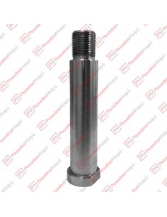 Perno Lanza 38 X 150 C/t