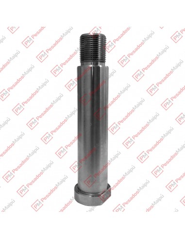 Perno Lanza 38 X 150 C/t