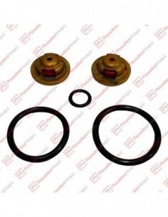 Kit Reparacion Bomba Auxiliar 00747 (frt 180412)
