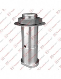 Perno Balancin 58x140 C/t