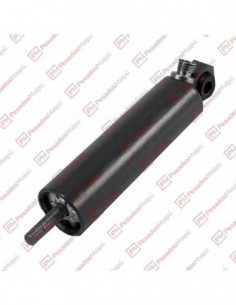 Cilindro Pare Motor Bomba Inyectora (22036)