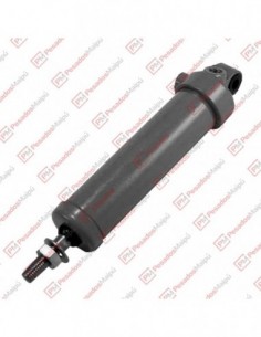 Cilindro Pare Motor Bomba Inyectora (22035)