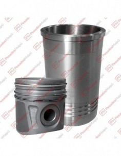Conjunto Motor Iveco...