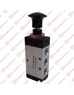 Push Doble Laser Salida 1/8...