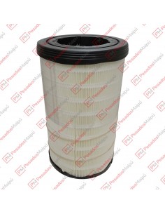 Filtro Aire Ford 2042 /2842...