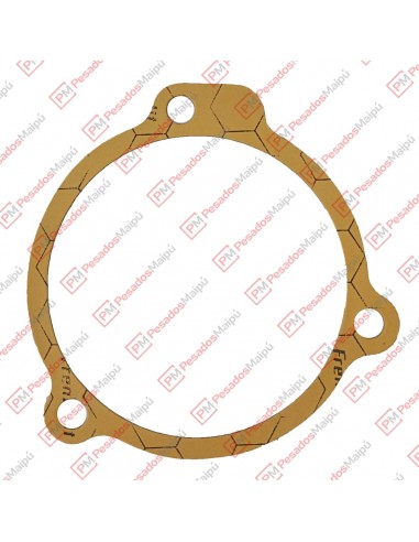 Junta Termostato (51236) Iveco Cursor 8