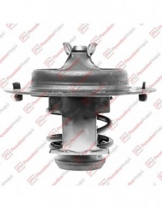 Termostato 7307 81 Iveco...