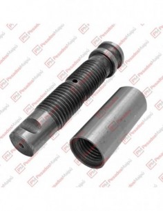 Perno Y Buje Volvo 30 X 170...