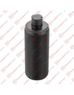 Tornillo Registro Calip Knorr Sm7 (24760)