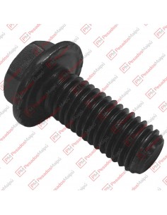 Tornillo Para Perno Rei...