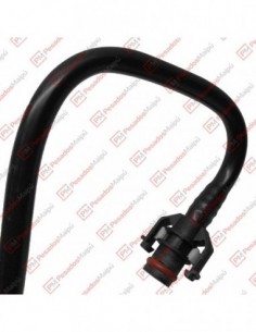 Flexible Combustible Iveco... 2