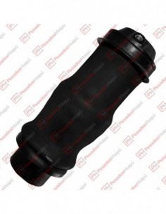 Fuelle Suspension Cabina Sc...
