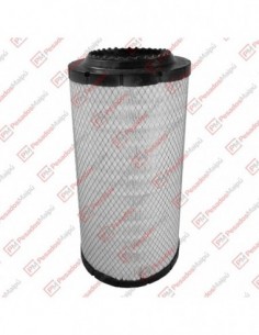 Filtro Aire (ca10030)...
