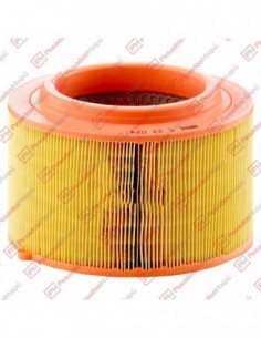 Filtro Aire (ca11674) Ford...
