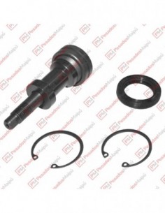 Reparacion Suspension...