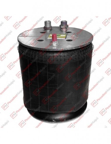 Fuelle Suspension Arm Renault (2466)