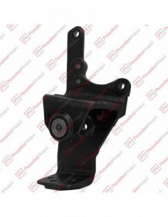 Soporte Elastico Atego...