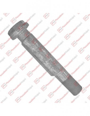 Perno Storani Excentrico Corto 38 X 212