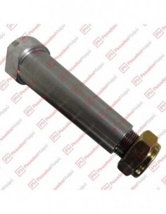 Perno Lanza 38 X 115 C/t
