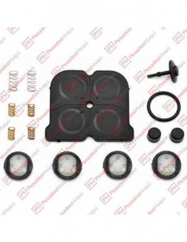 Reparacion 5139 Protectora 4...