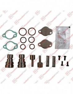 Kit Reparacion Alivio...