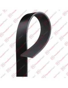 Correa Poli V 10pk1545 Dayco