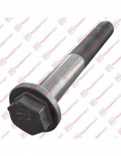 Perno Elastico Iveco Euroc 20 X 155 C/t (940)